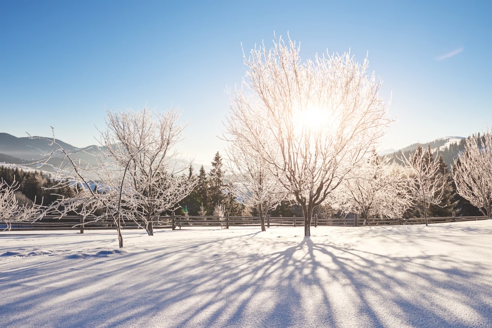 Batteries : comment optimiser son autonomie en hiver ?