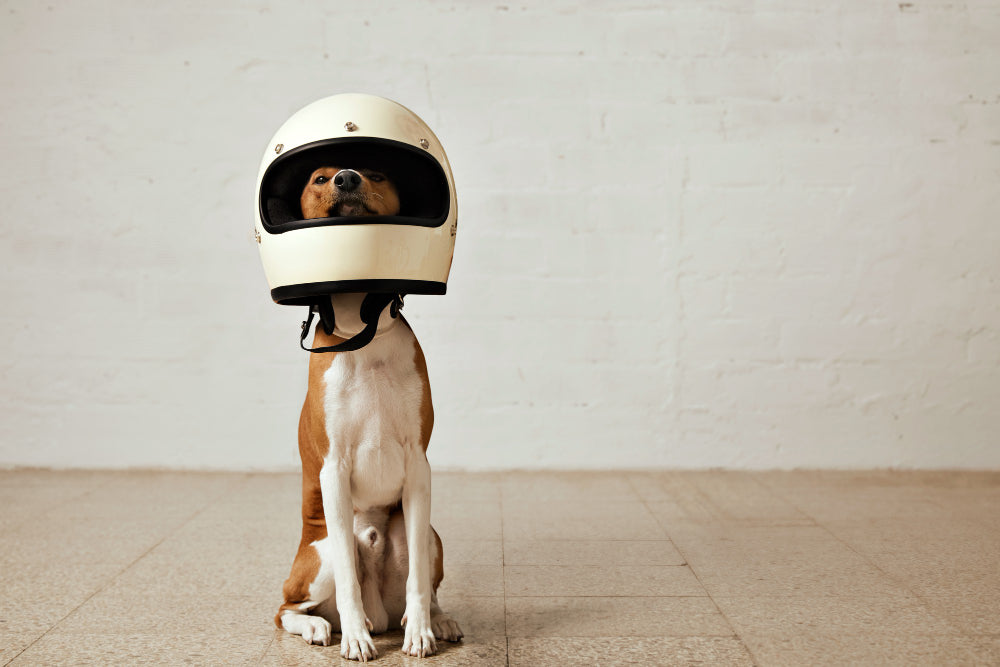 Comment bien choisir son casque de scooter ?